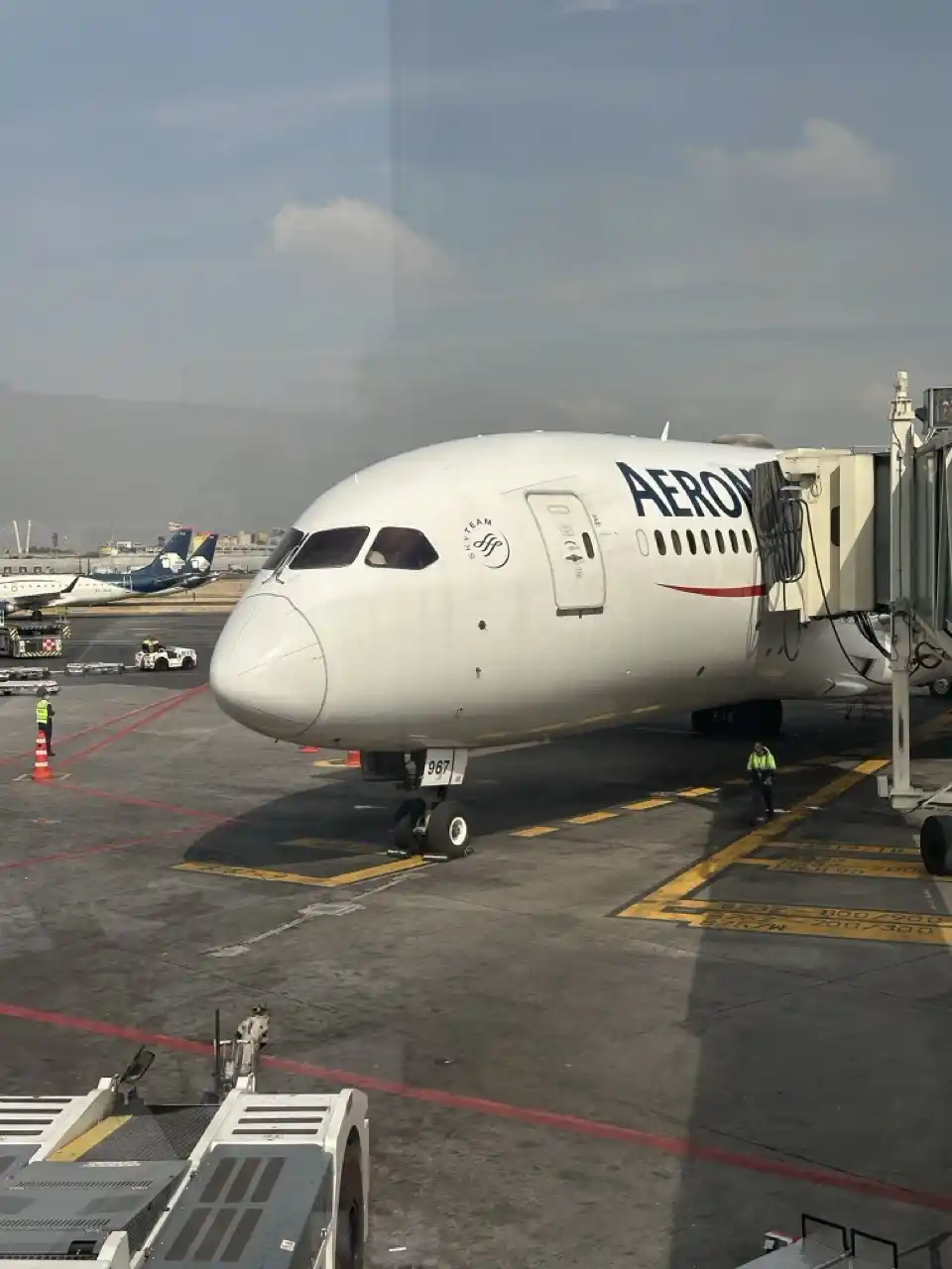 Aeromexico 787-8 Business Class from Seoul to Mexico City