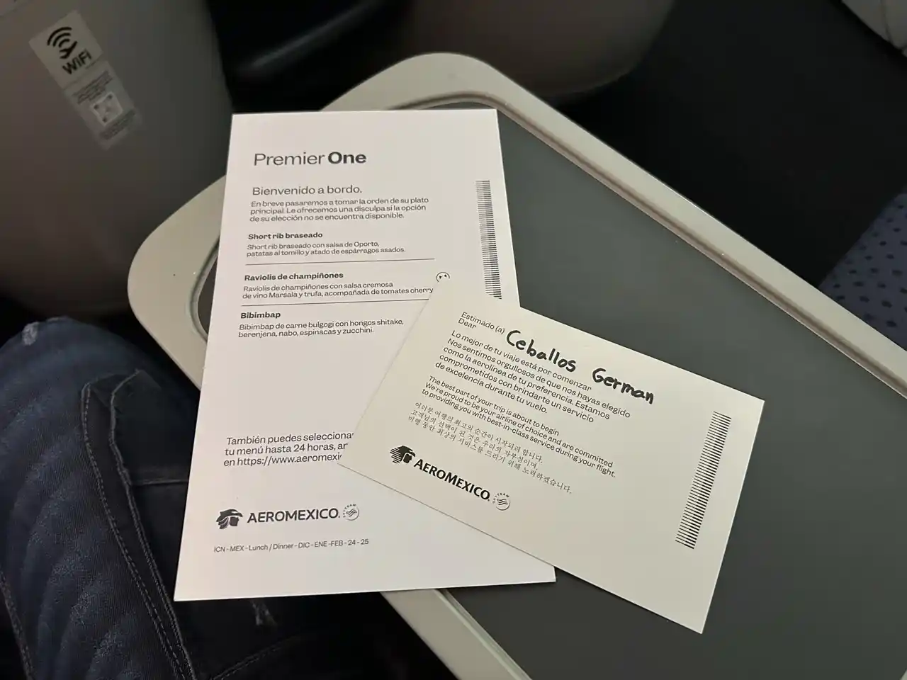 Aeromexico 787-8 Business Class Welcome Card