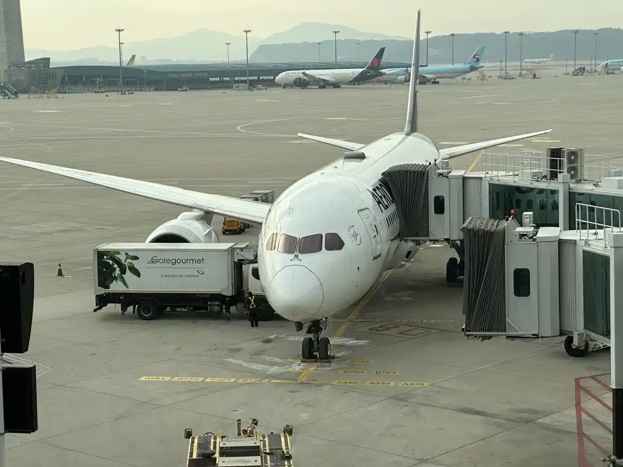 Aeromexico 787-8 at Incheon Terminal 2