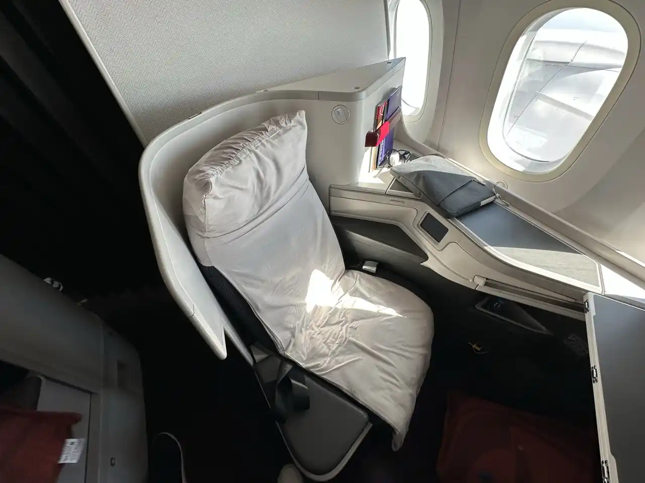 Aeromexico 787-9 Business Class Seat Cover