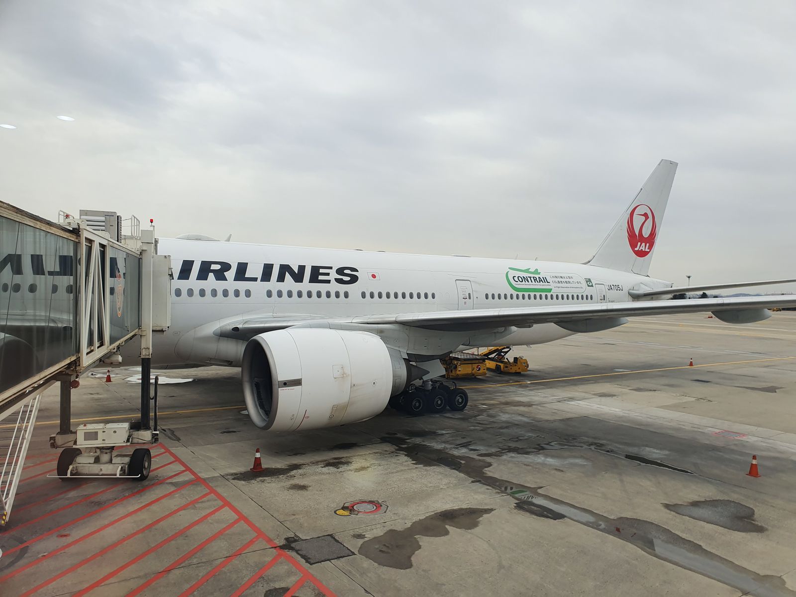 Cover image for JAL Economy 777-200 GMP-HND Review