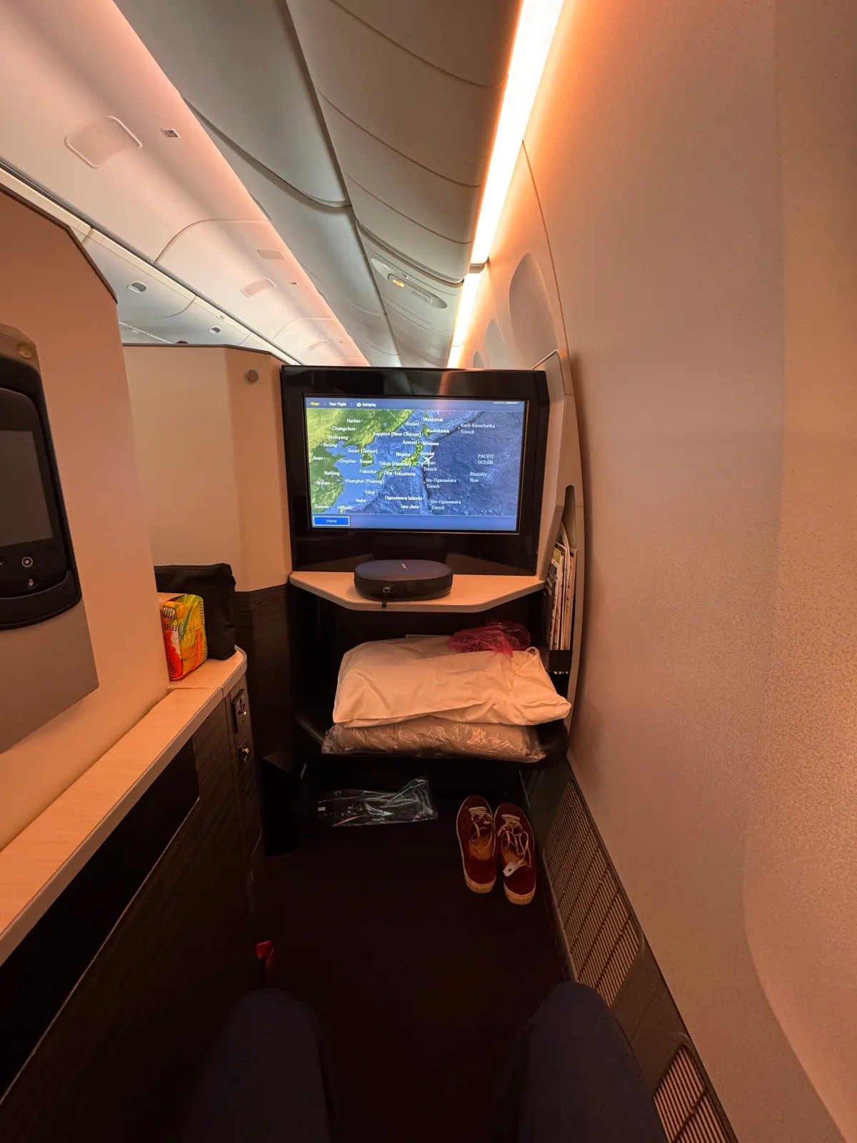 JAL Sky Suites Window Seat