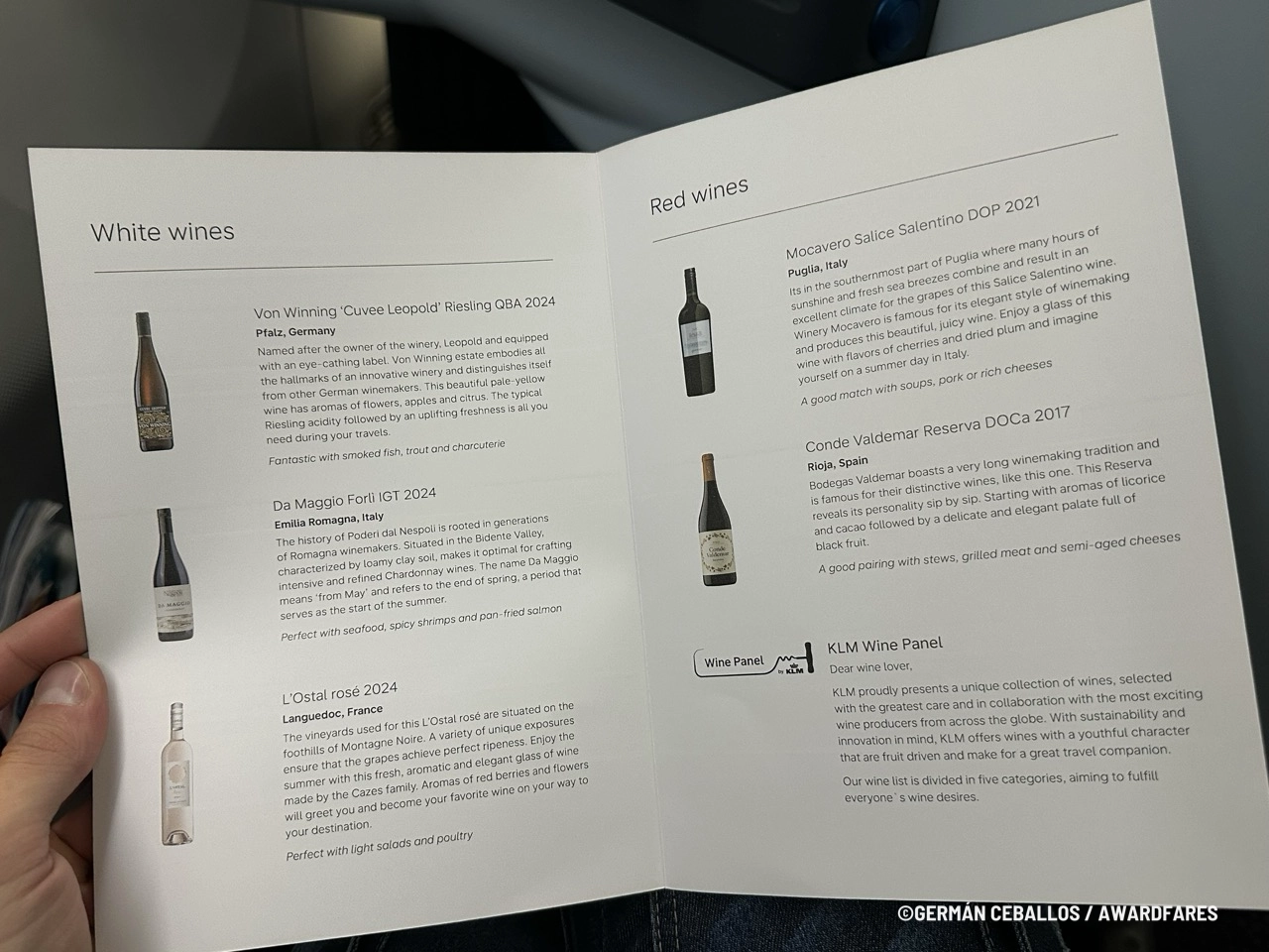 KLM 787-9 World Business Class: Buenos Aires to Santiago.