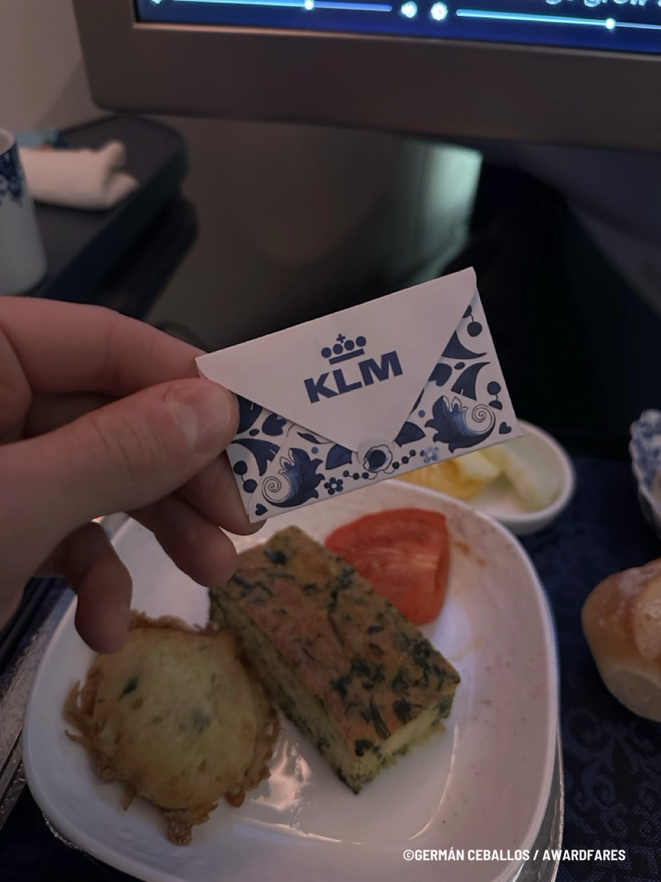 KLM 787-9 World Business Class: Buenos Aires to Santiago.