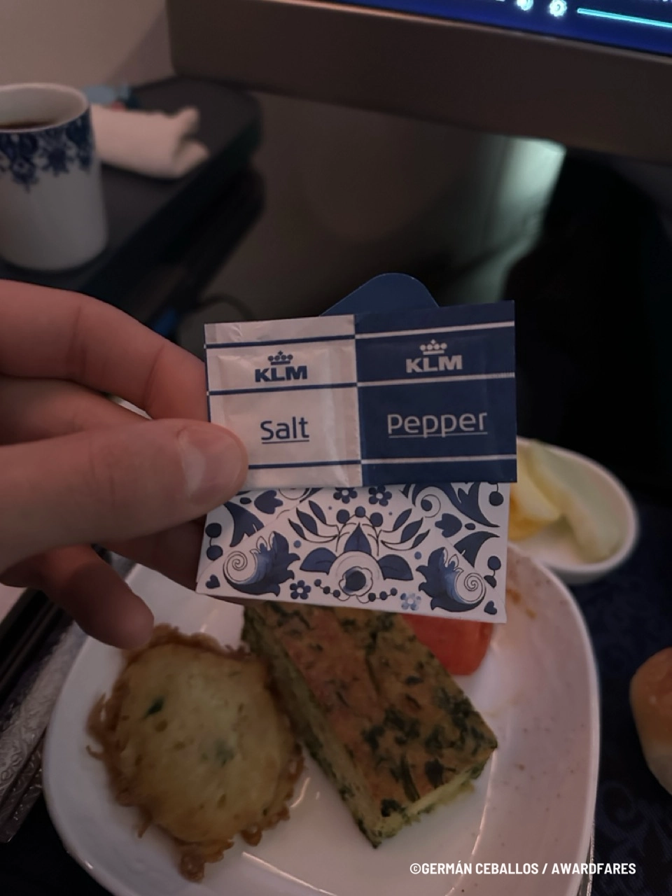 KLM 787-9 World Business Class: Buenos Aires to Santiago.