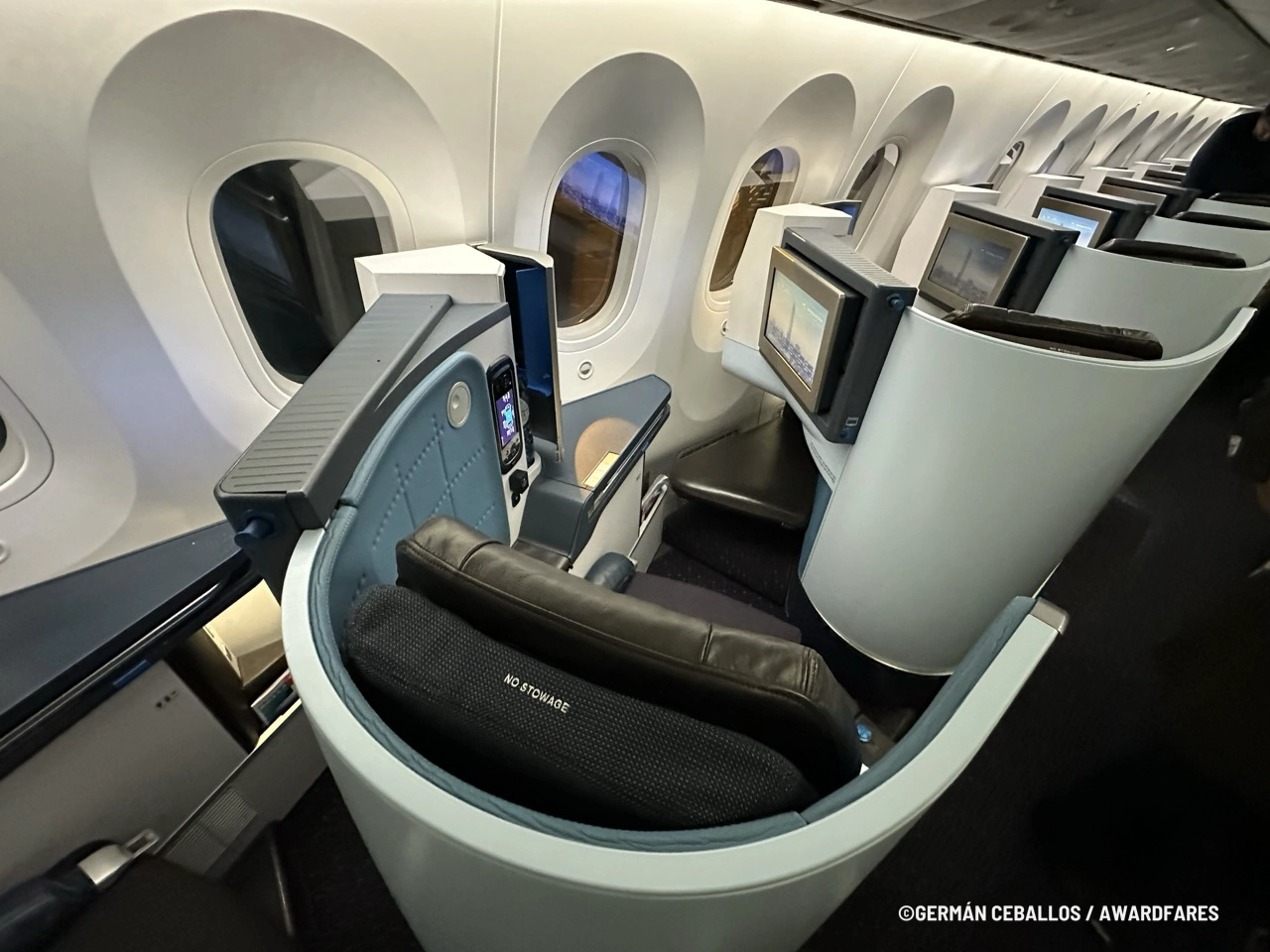 KLM 787-9 World Business Class: Buenos Aires to Santiago.