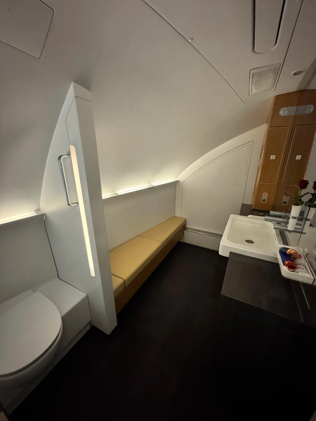 Lufthansa toilet