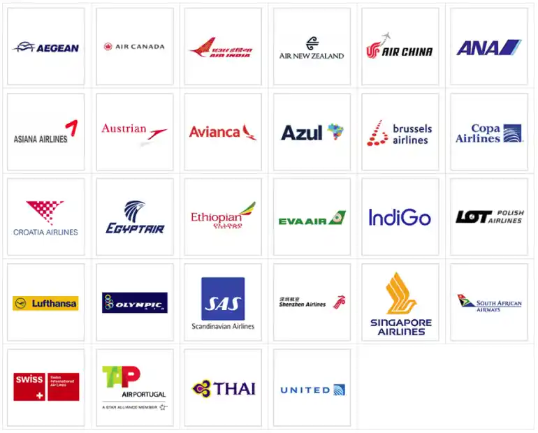 Turkish Airlines Partners.