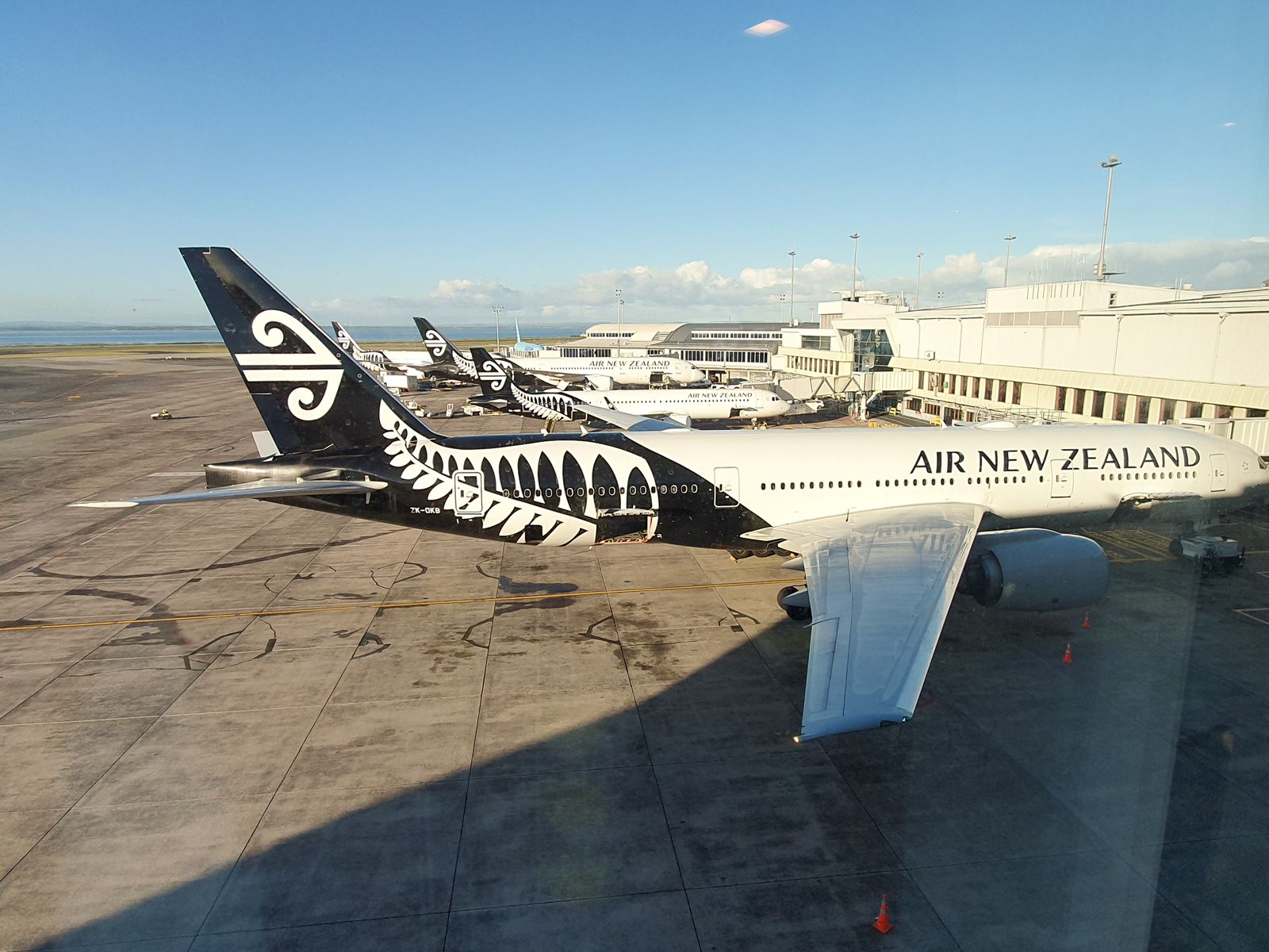 Cover image for Review of Air New Zealand Business Auckland to Taipei (787-9)