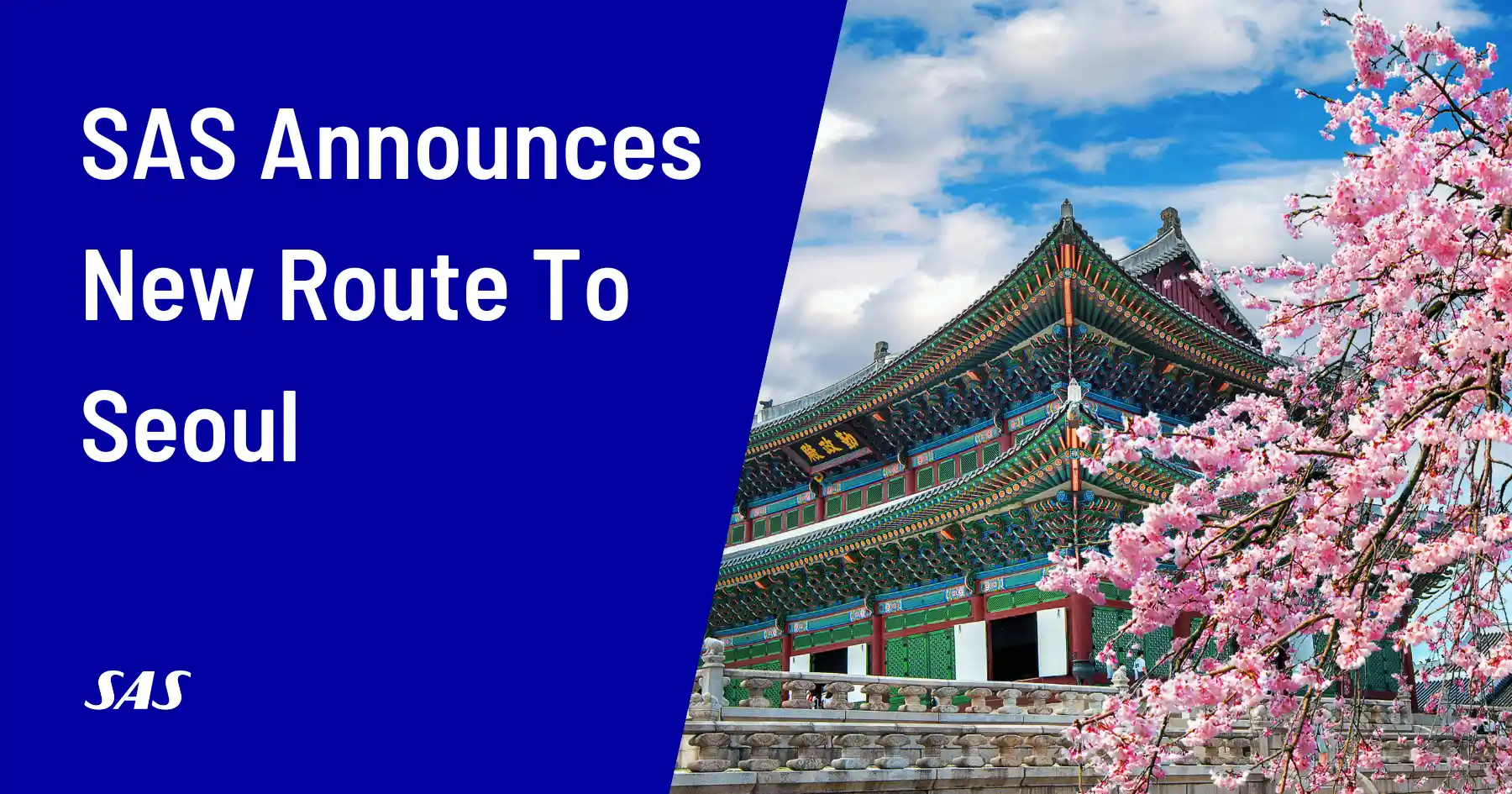 Cover image for SAS Launches Direct Flights To Seoul (Awards Available!)