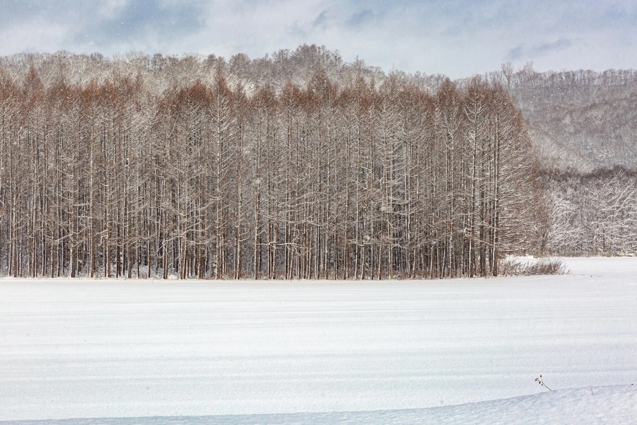 Niseko, Japan as a Winter Getaway With Miles Or Points.