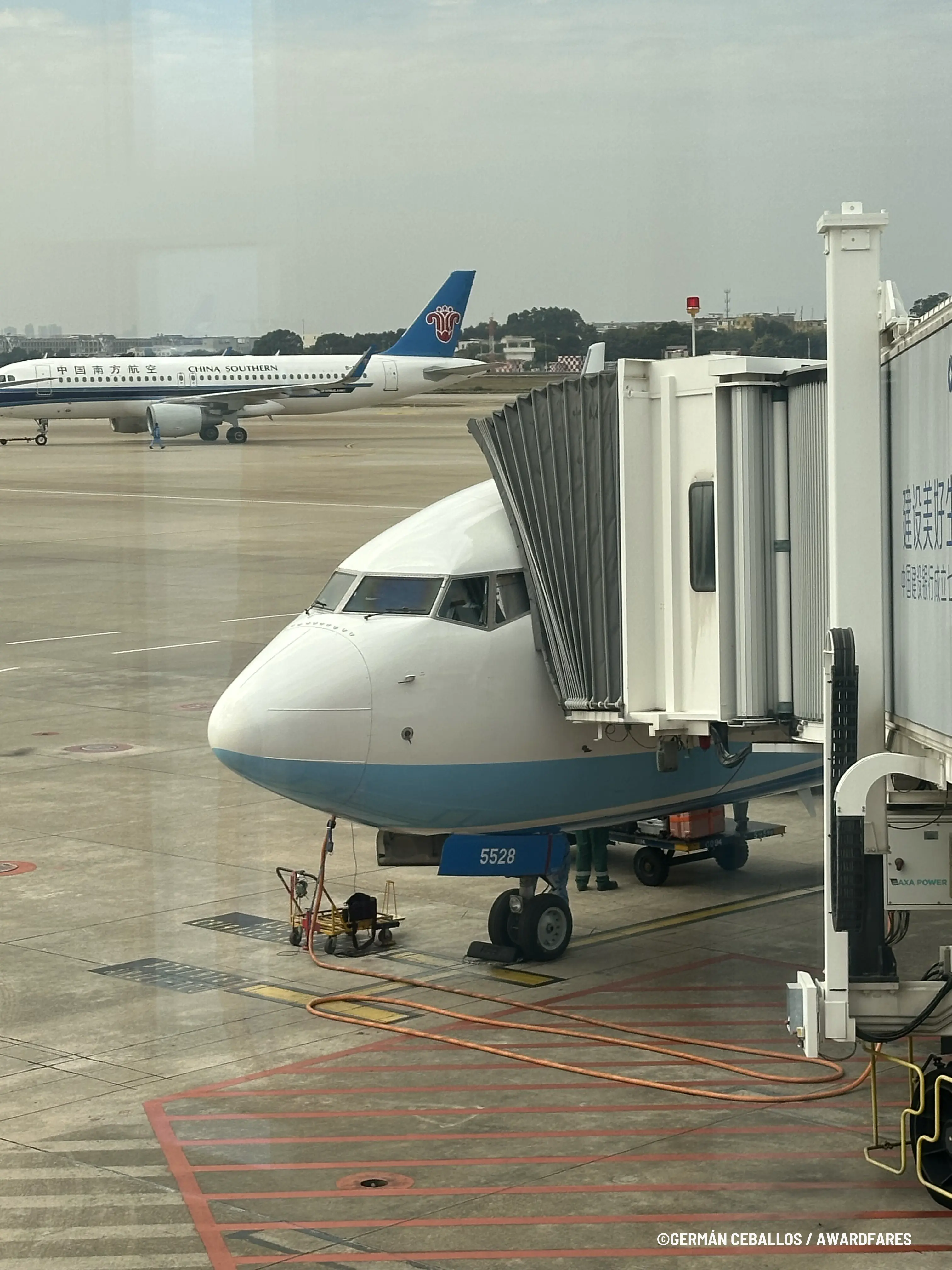 Xiamen Air 737-800 Economy Class Review (2025)